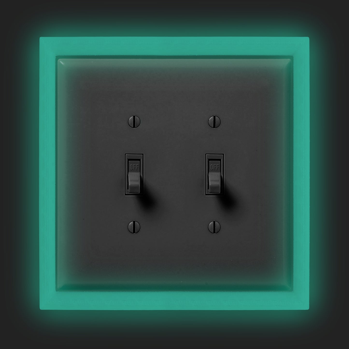 Glow in the Dark Light Switch Frame - Double Toggle