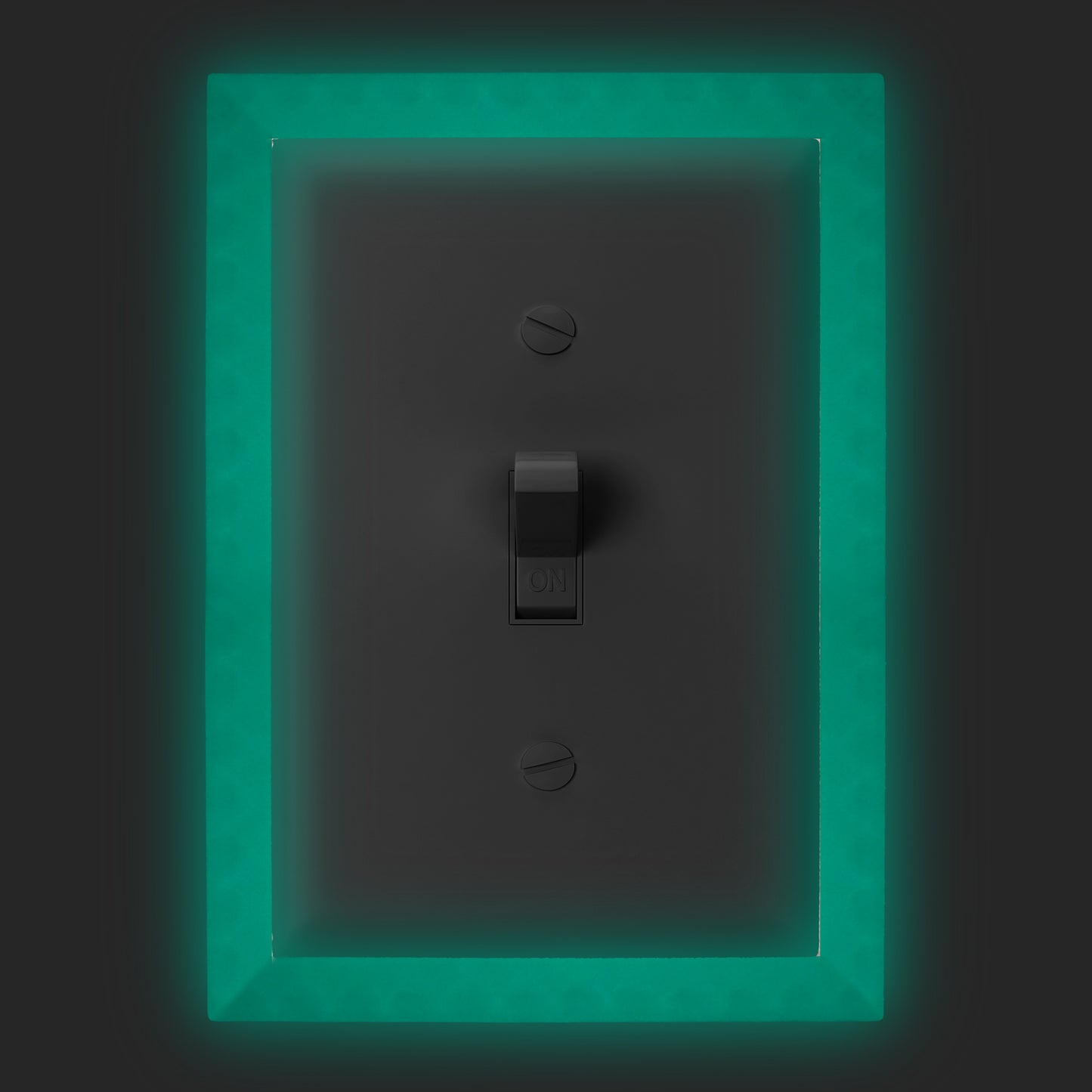 Glow In the Dark Light Switch Frame - Single Toggle